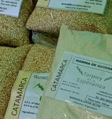 Quinoa