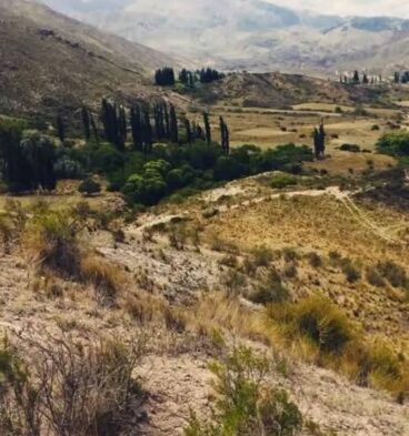 cerro