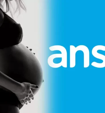 anses embarazo