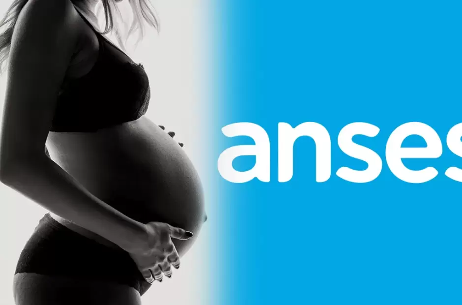 anses embarazo