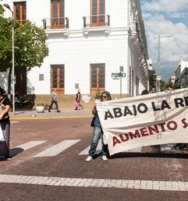 docentes