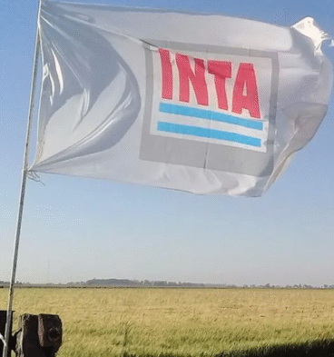 Inta