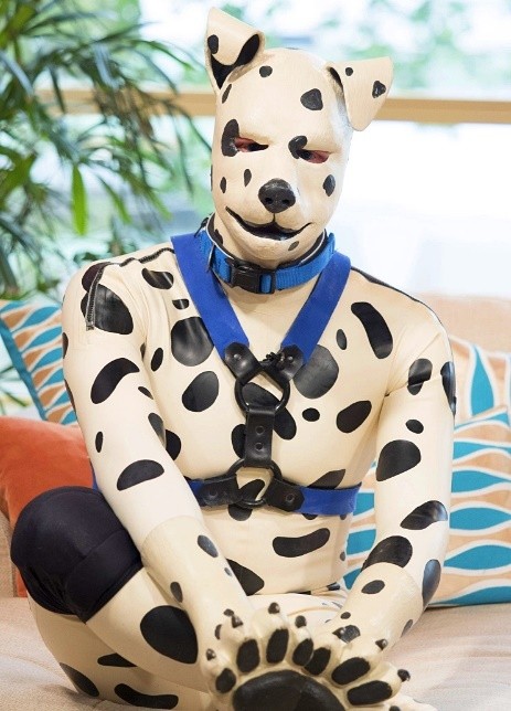perro humano