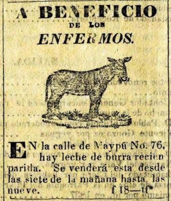 leche de burra