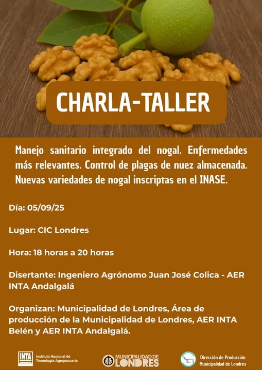 nogal