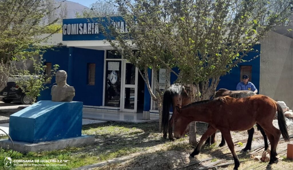 Hualfin