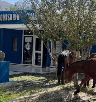 Hualfin