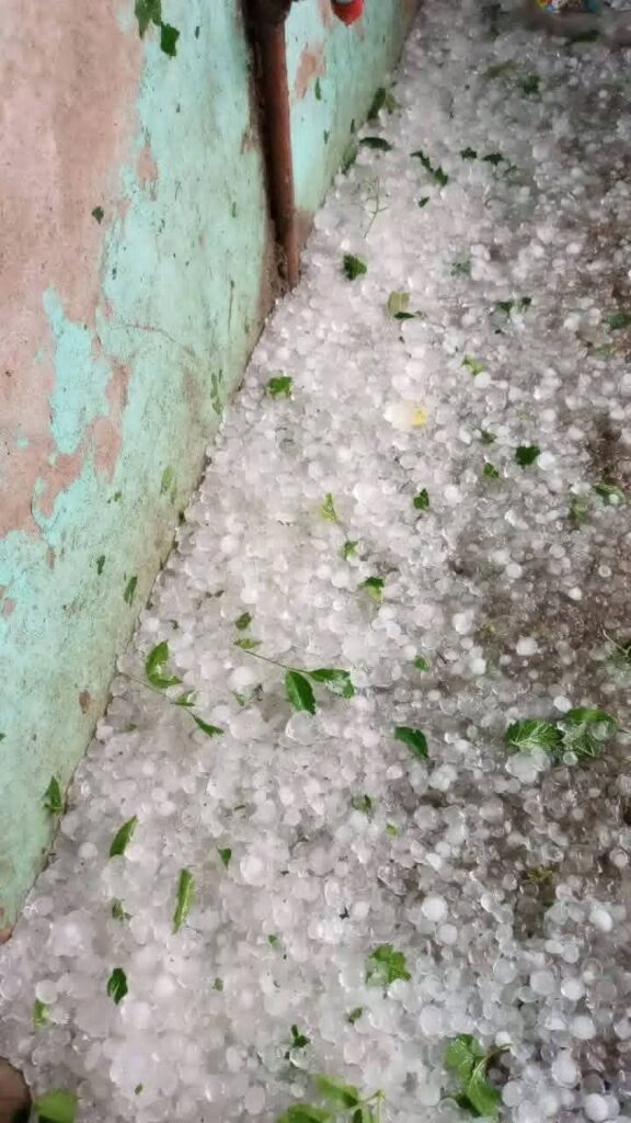 Temporal en frias