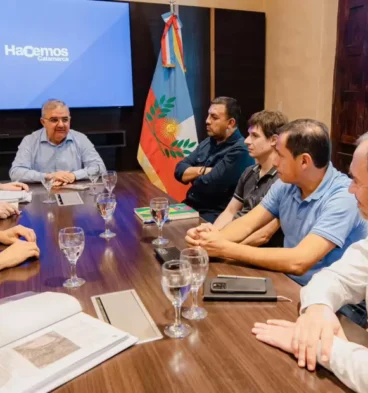 parque solar catamarca