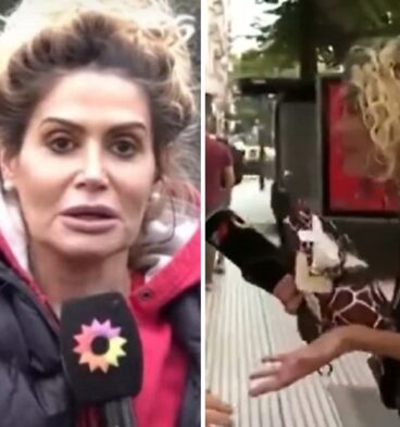 giuliana salguero tn