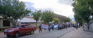 docentes