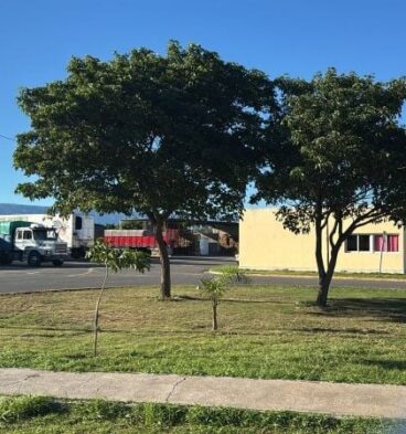 mercado de abasto catamarca