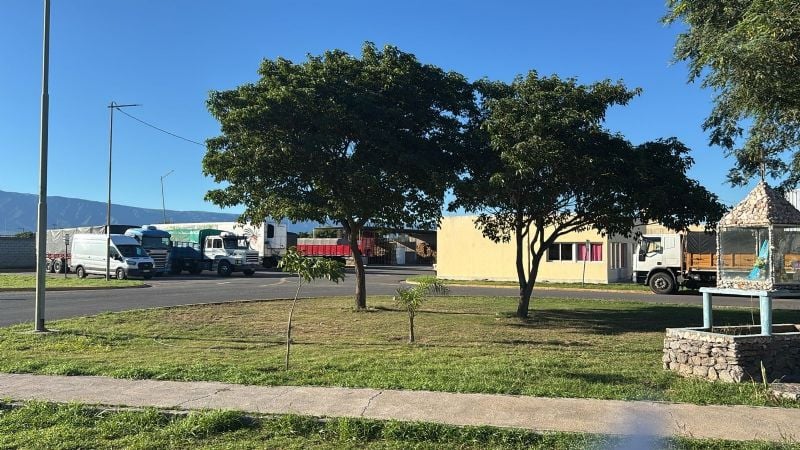 mercado de abasto catamarca