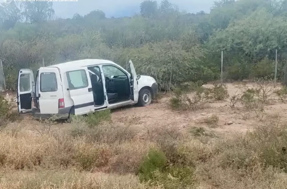 kangoo