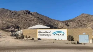 ymad