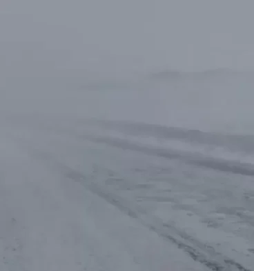 nieve