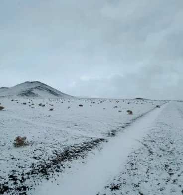 nevadas