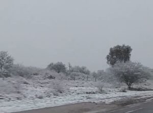 nieve