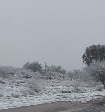 nieve