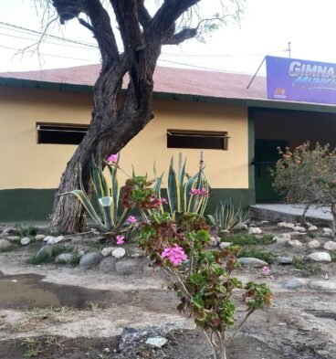 gimnasio belen