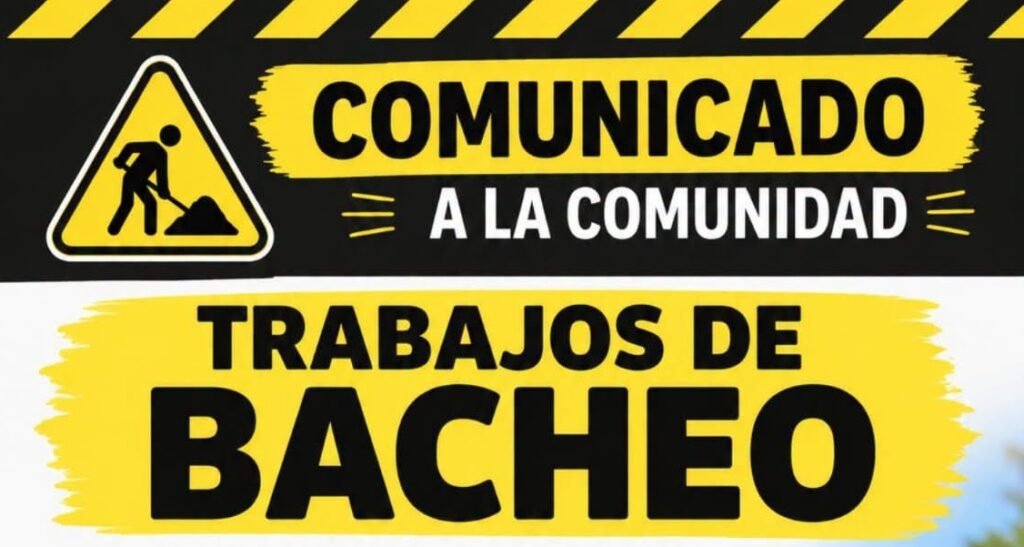 bacheo