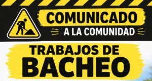 bacheo