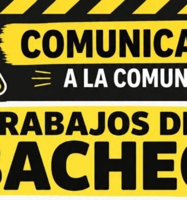 bacheo