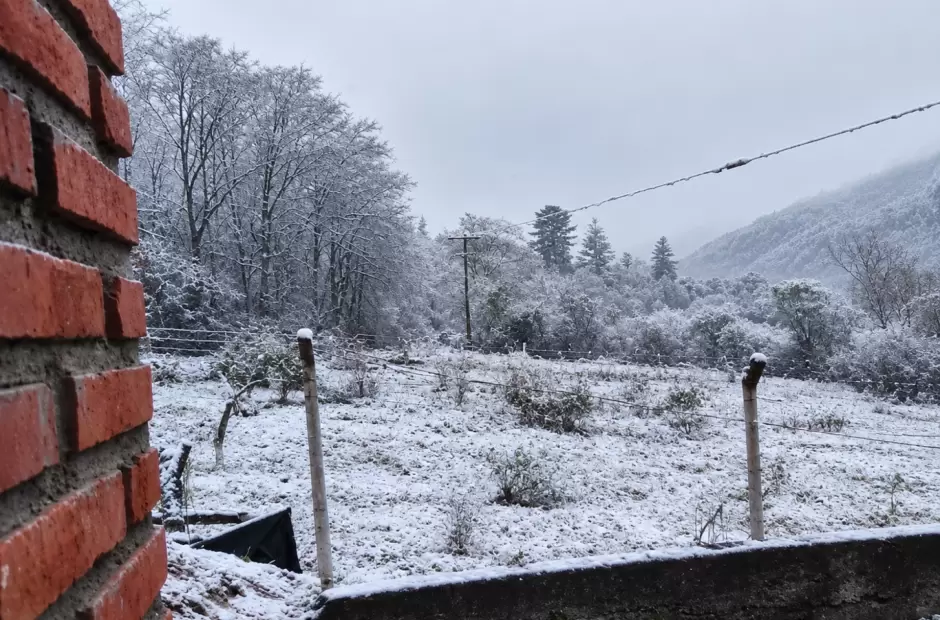 nieve