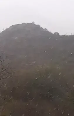 nieve