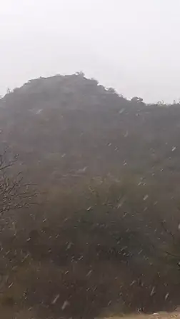 nieve