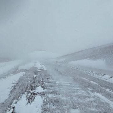 nevada