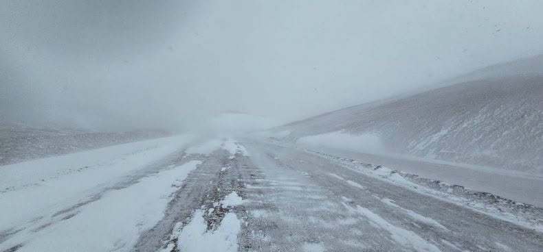 nevada