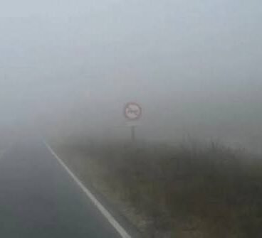 ruta provincial
