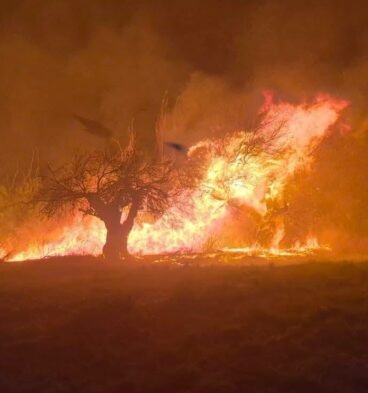 incendio